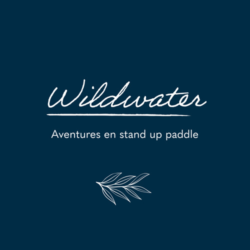 Projet Wildwater