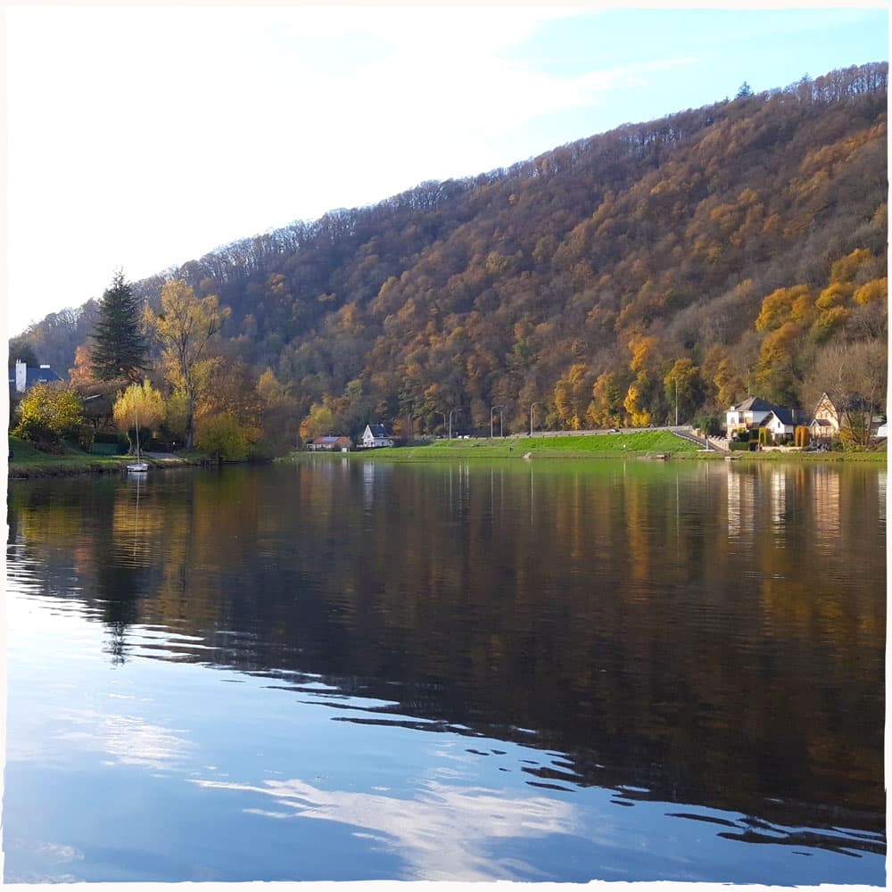 Vallée de la Meuse à Godinne