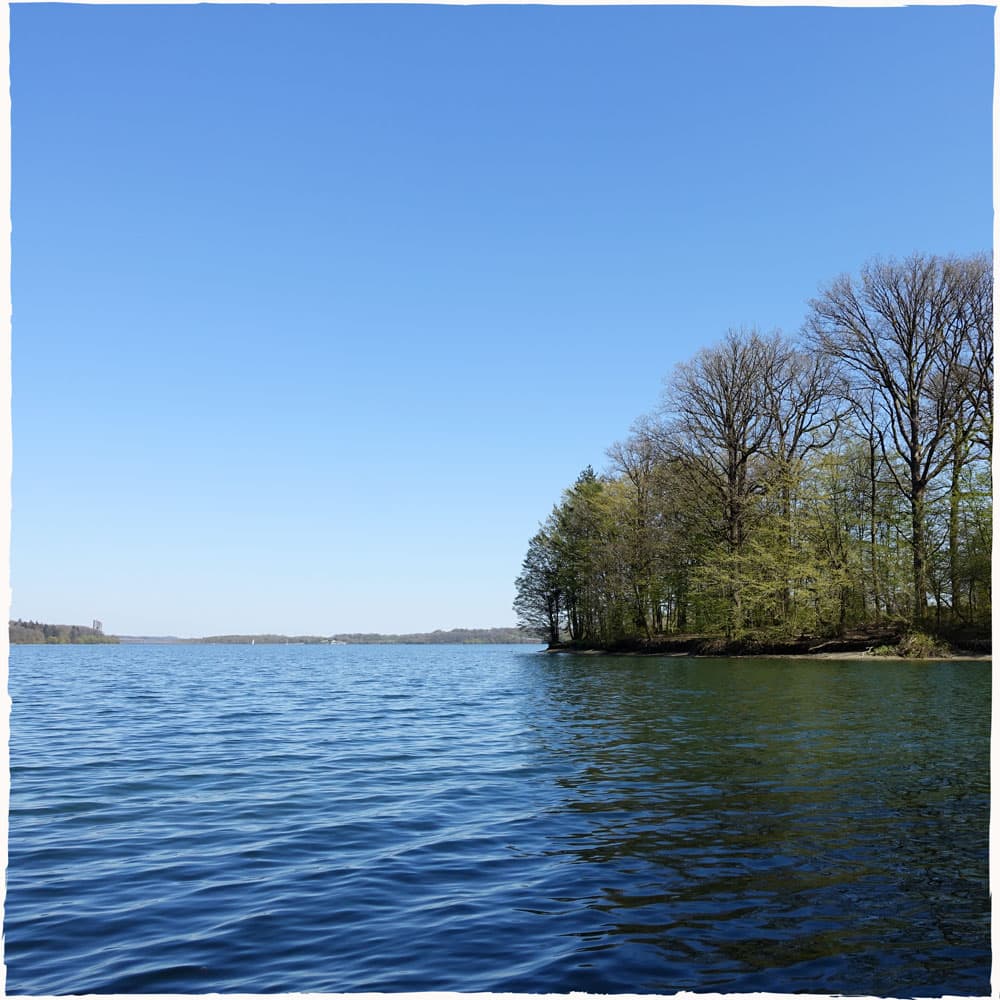 Balade à la fois sur le lac et en forêt
